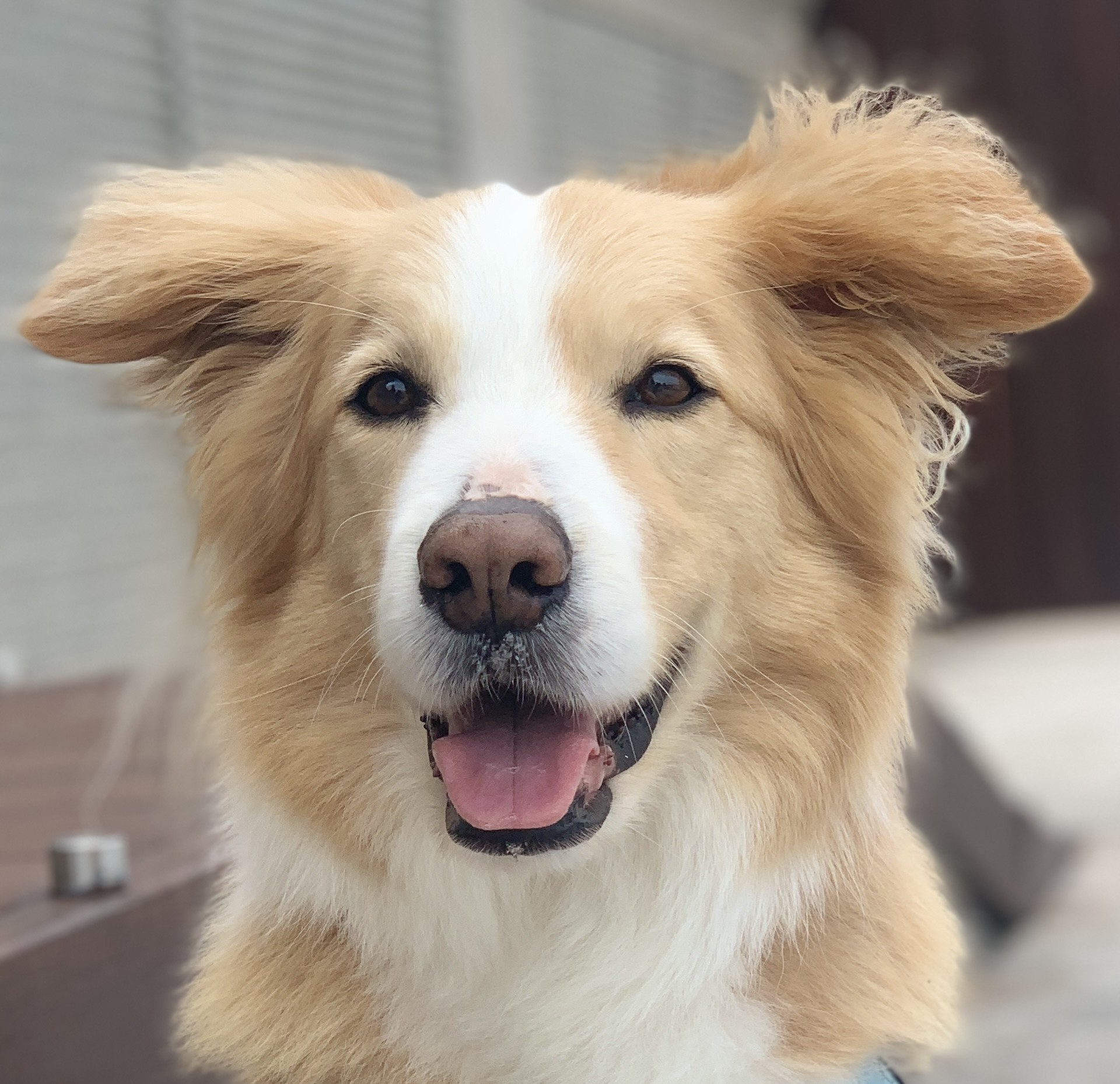 Original photo for sketch conversion